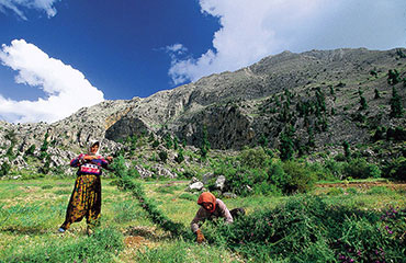 PEOPLE OF TAURUS MOUNTAINS